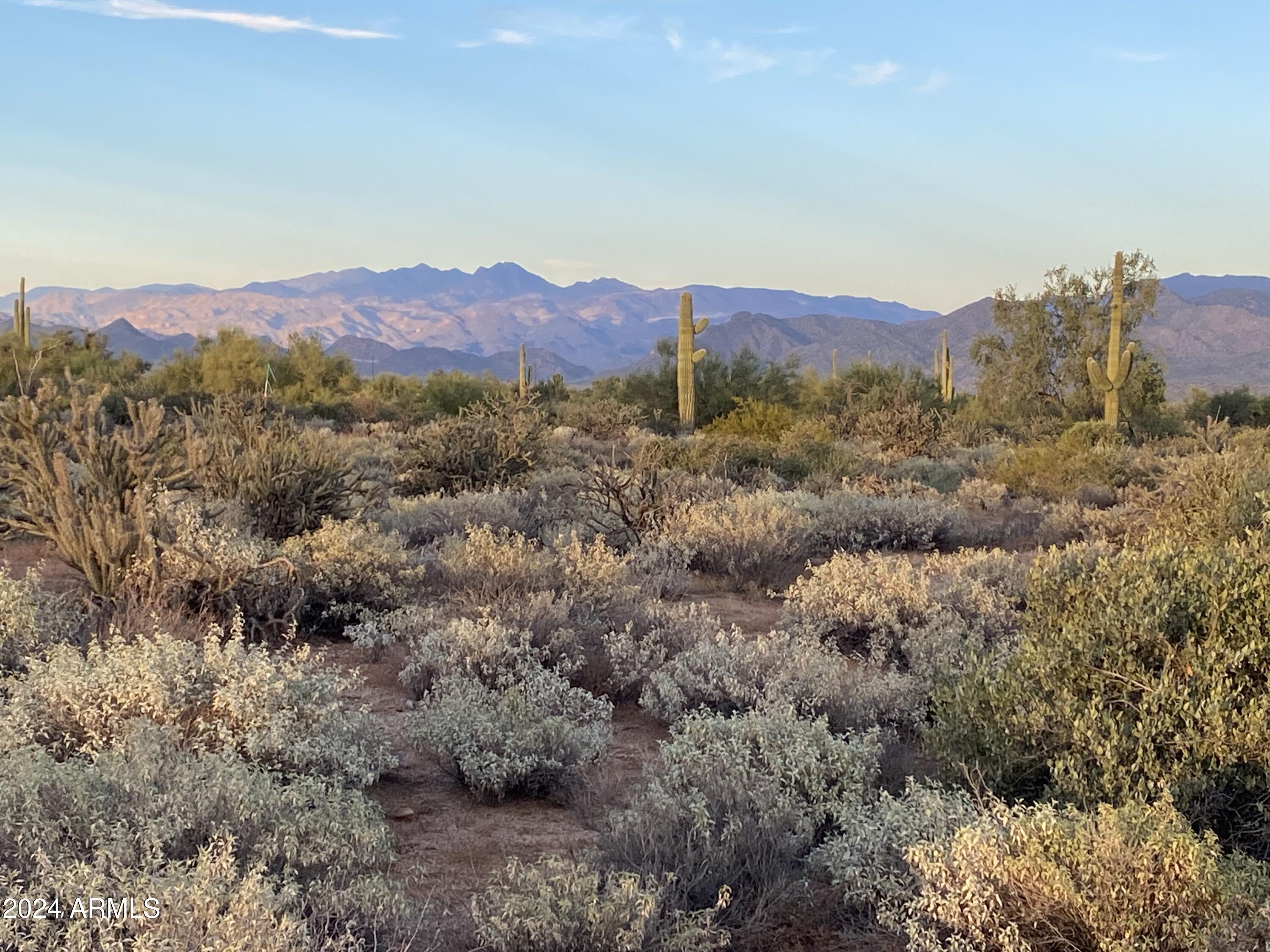 164xx E Morning Vista Drive '-'