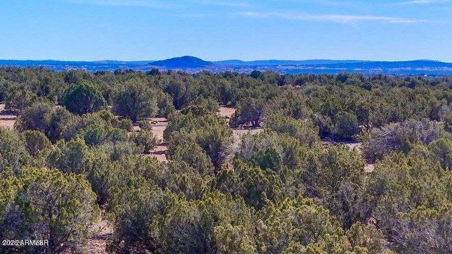 Just 20 minutes from Show Low, bordering state land while offering total seclusion and off-grid living. Enjoy beautiful surrounding views on this property, which has already passed a perc test for a conventional septic system. No 4x4 or high clearance needed. Owner may carry. Additional parcels available.