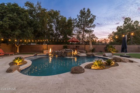 801 W MACAW Drive Chandler AZ 85286