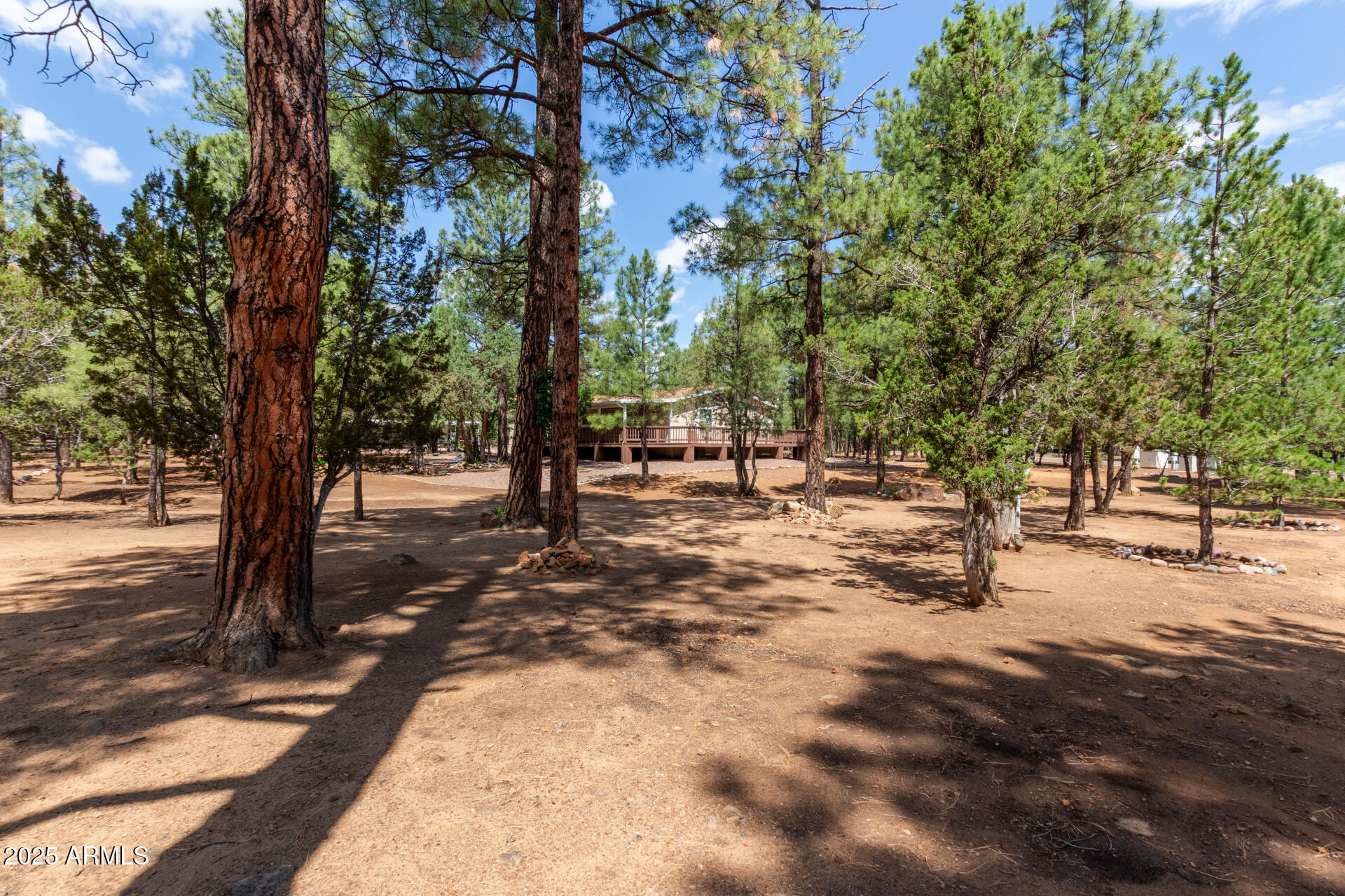 2884 Pine Rim Road