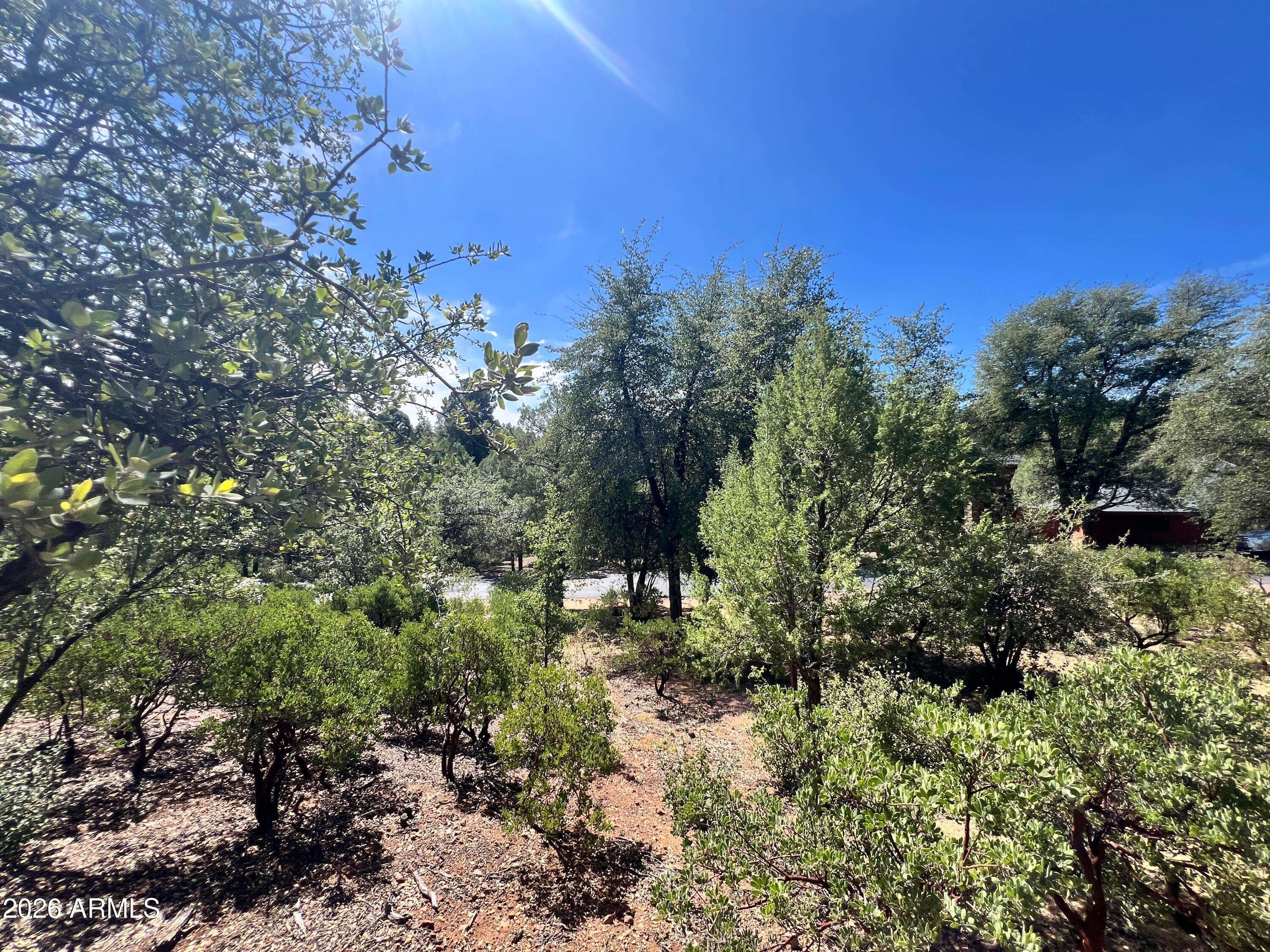 2810 E Coyote Mint Circle 55
