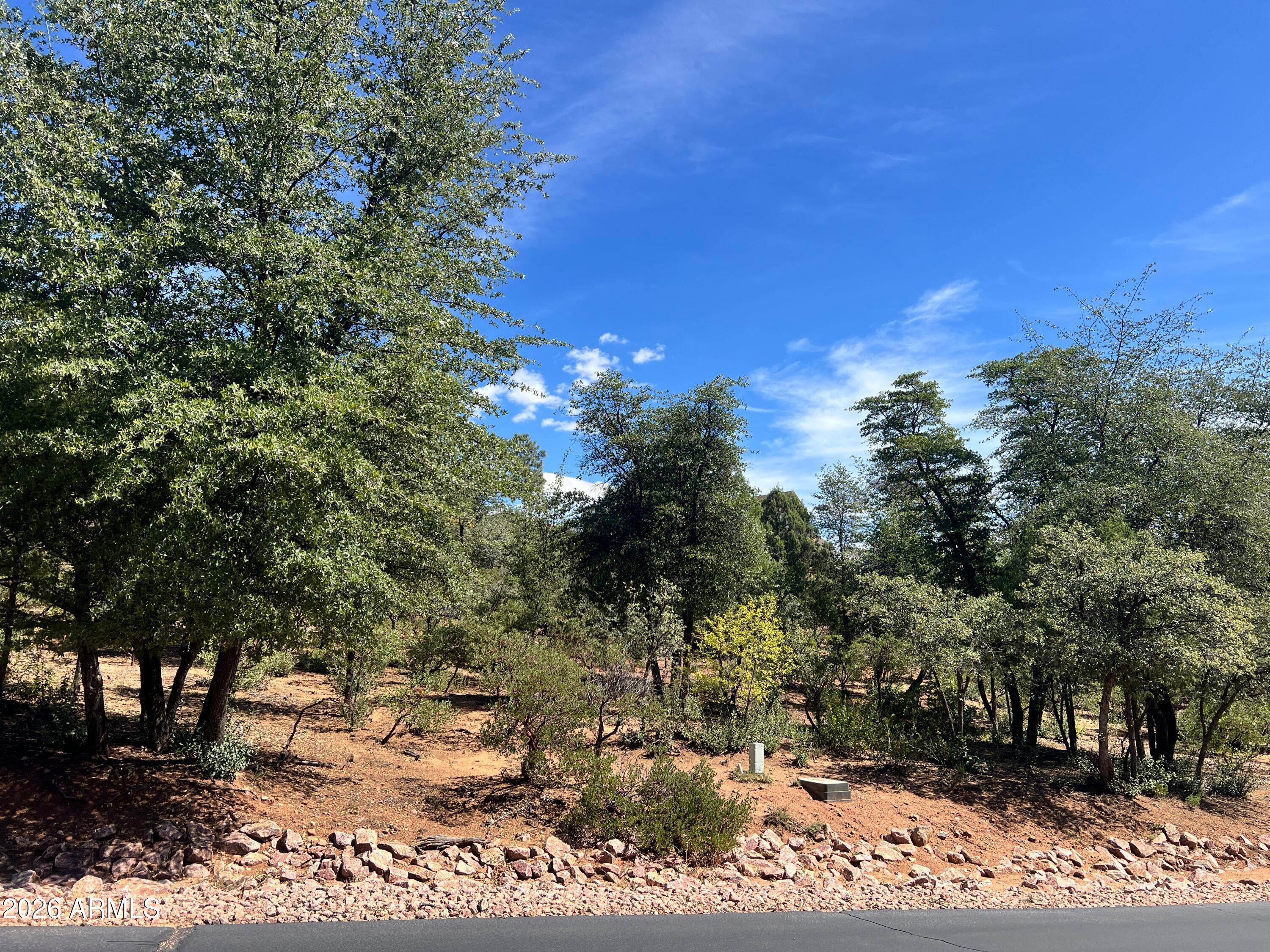 2810 E Coyote Mint Circle 55