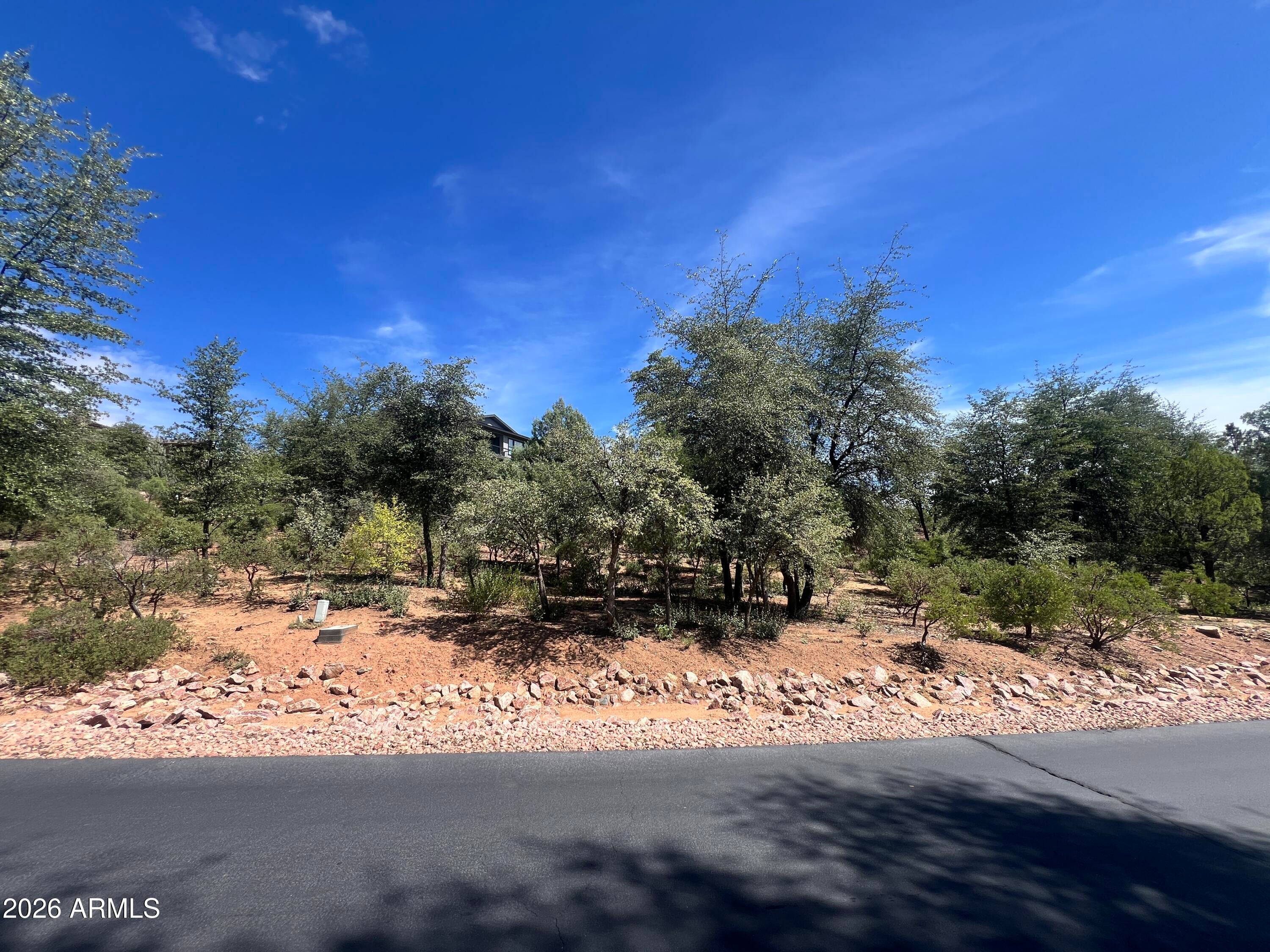 2810 E Coyote Mint Circle 55