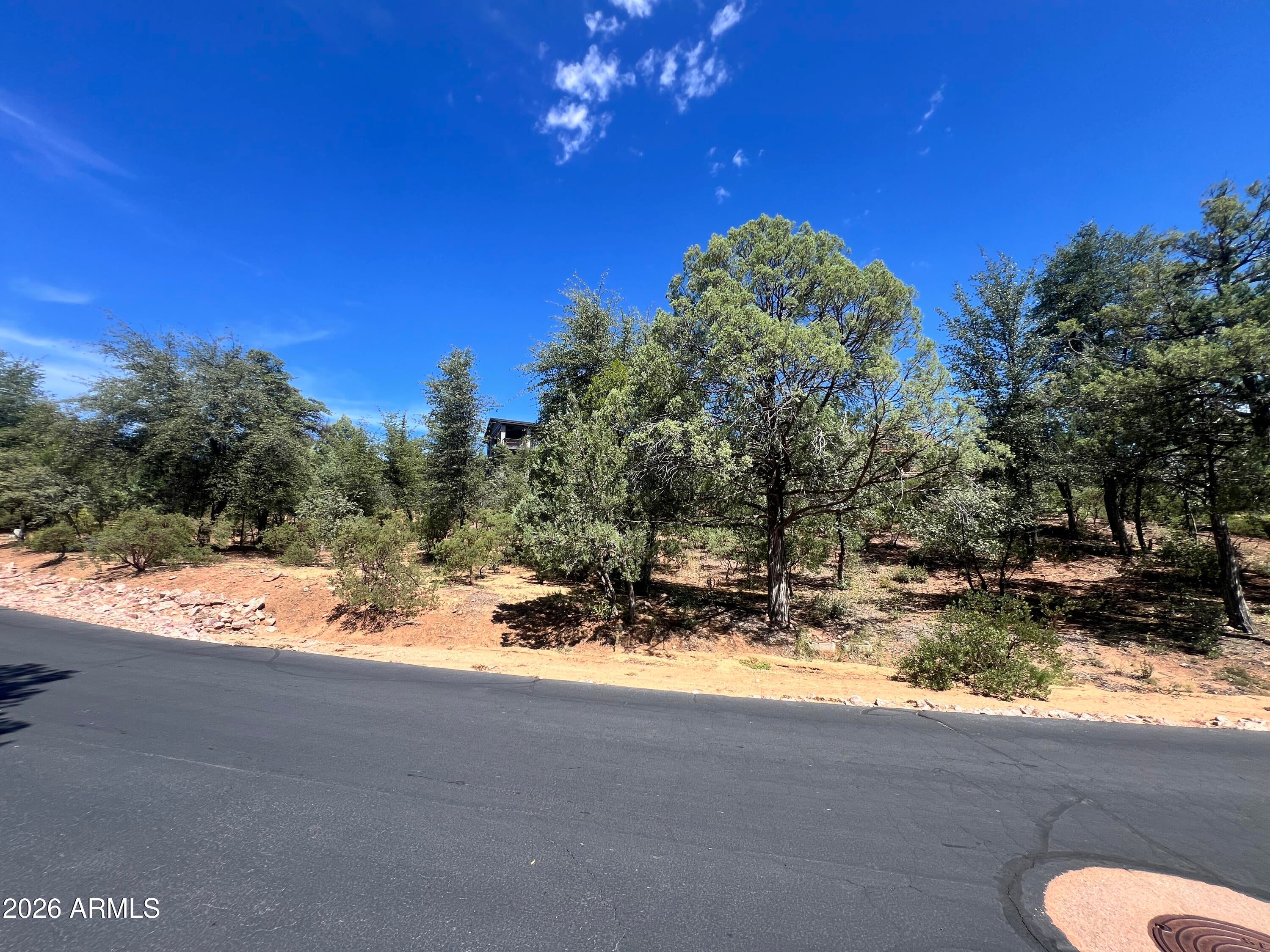 2810 E Coyote Mint Circle 55