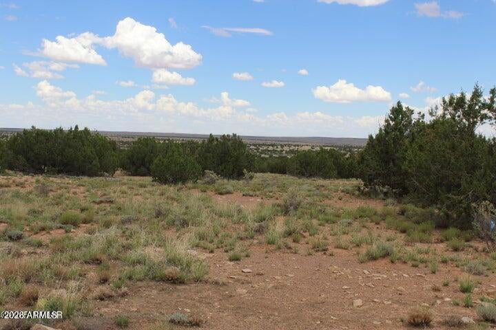 5705 Lindsey Lane 83