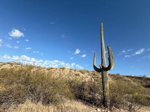 0 N Vista Del Oro -- 13 Fort McDowell AZ 85264