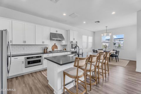 3966 W SERPENTINE Drive San Tan Valley AZ 85144