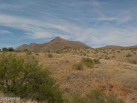 430 TONICHI Court 71 Rio Rico AZ 85648