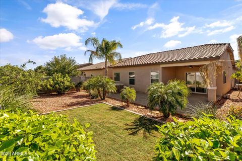 436 W Cucumber Tree Avenue Queen Creek AZ 85140