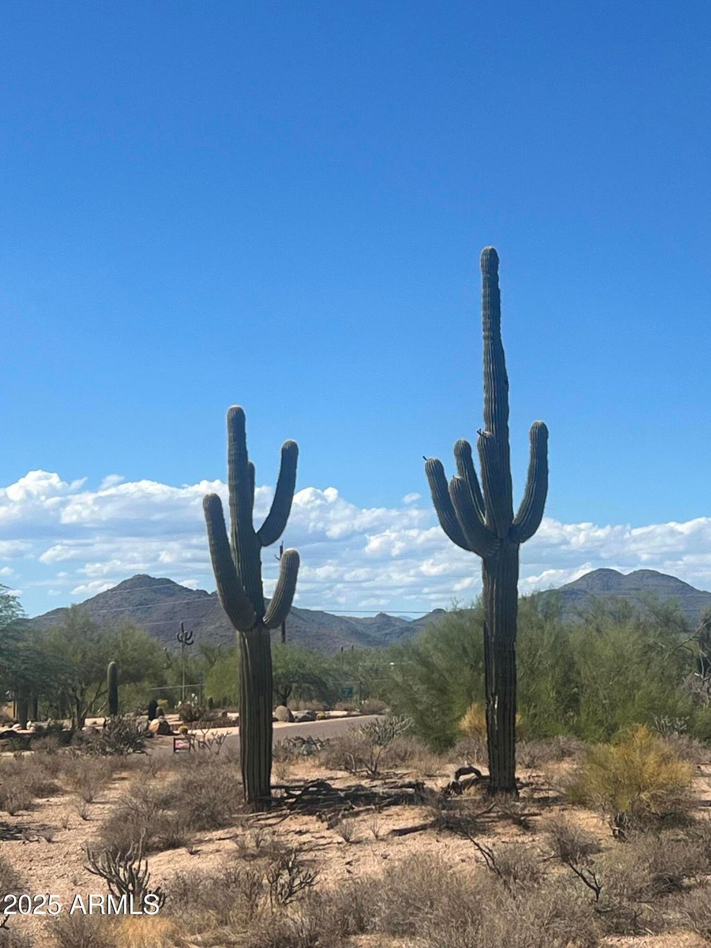 Photo of 33510 N 56th Street #-, Cave Creek, AZ 85331 (MLS # 6678205)