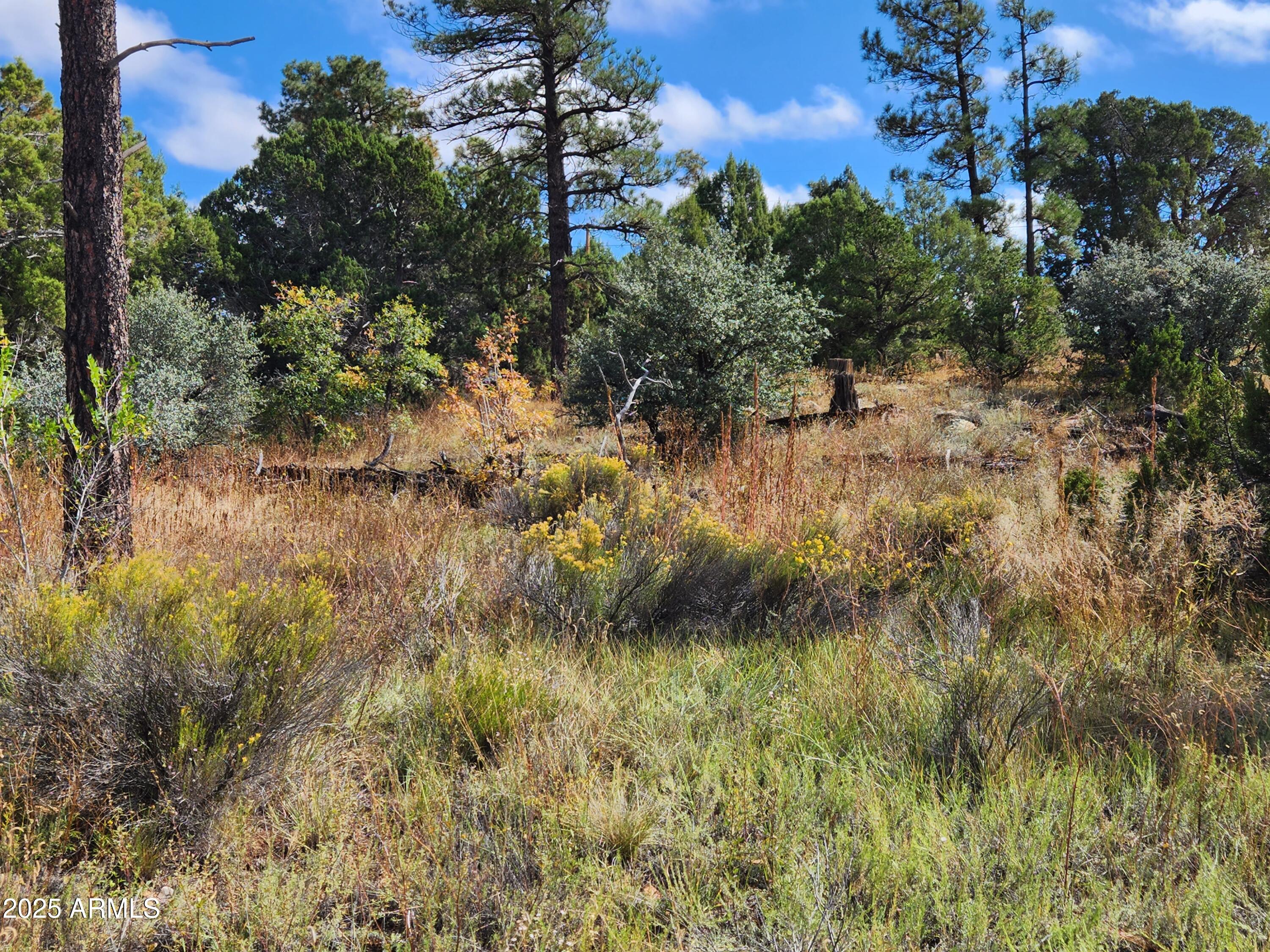 6662 STATE ROUTE 260 -- -