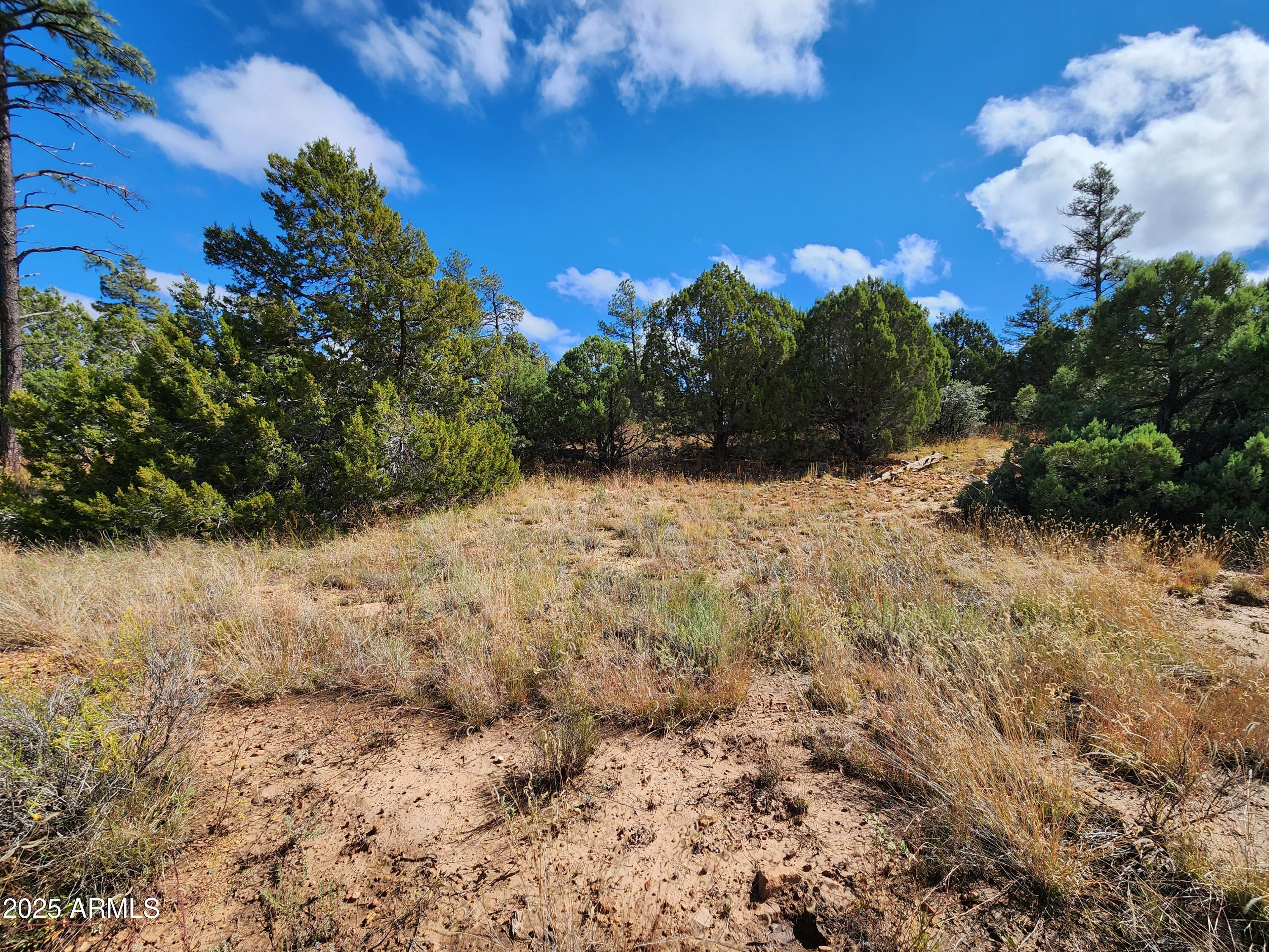 6662 STATE ROUTE 260 -- -