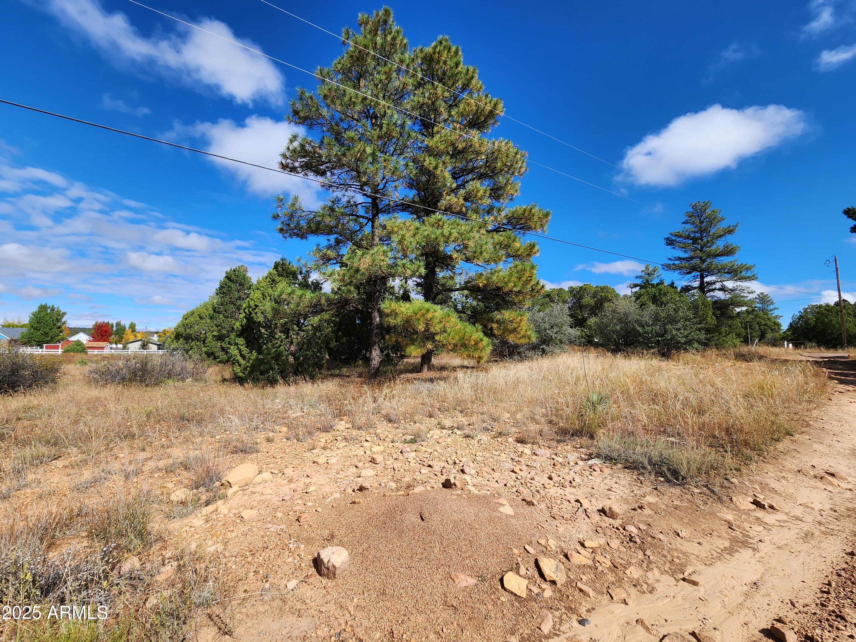 6662 STATE ROUTE 260 -- -