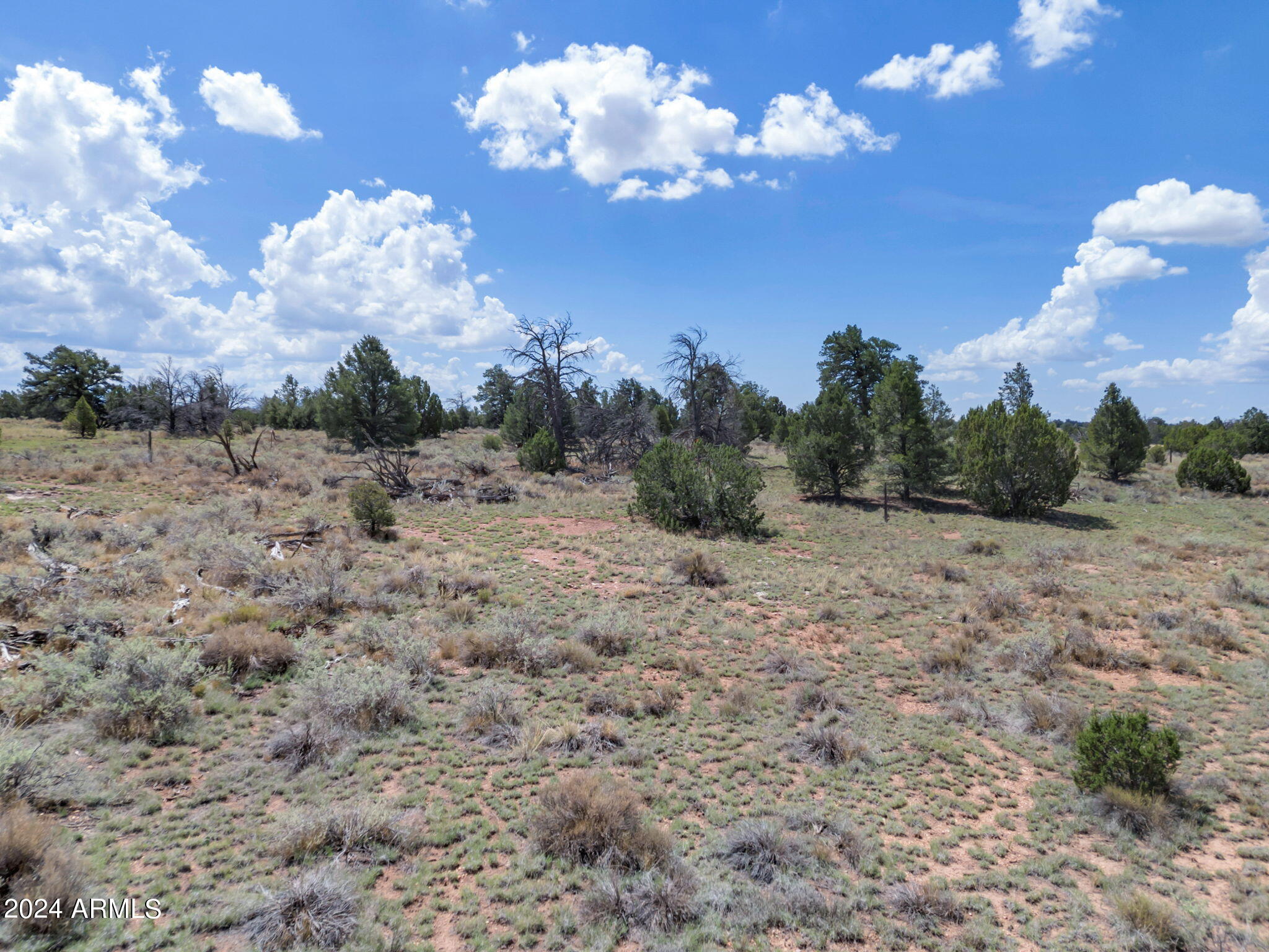 WOODLAND RANCH - Land