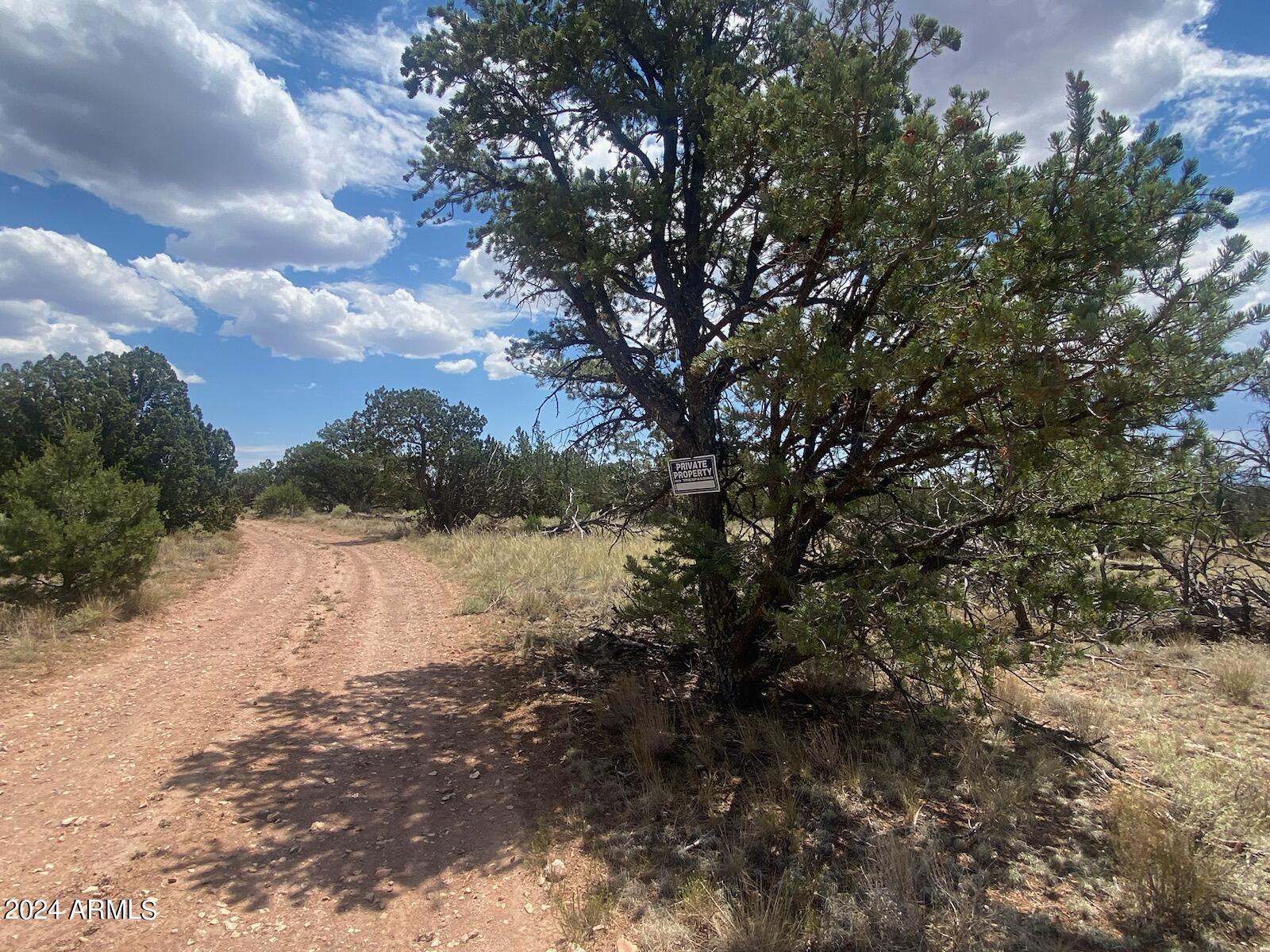 WOODLAND RANCH - Land