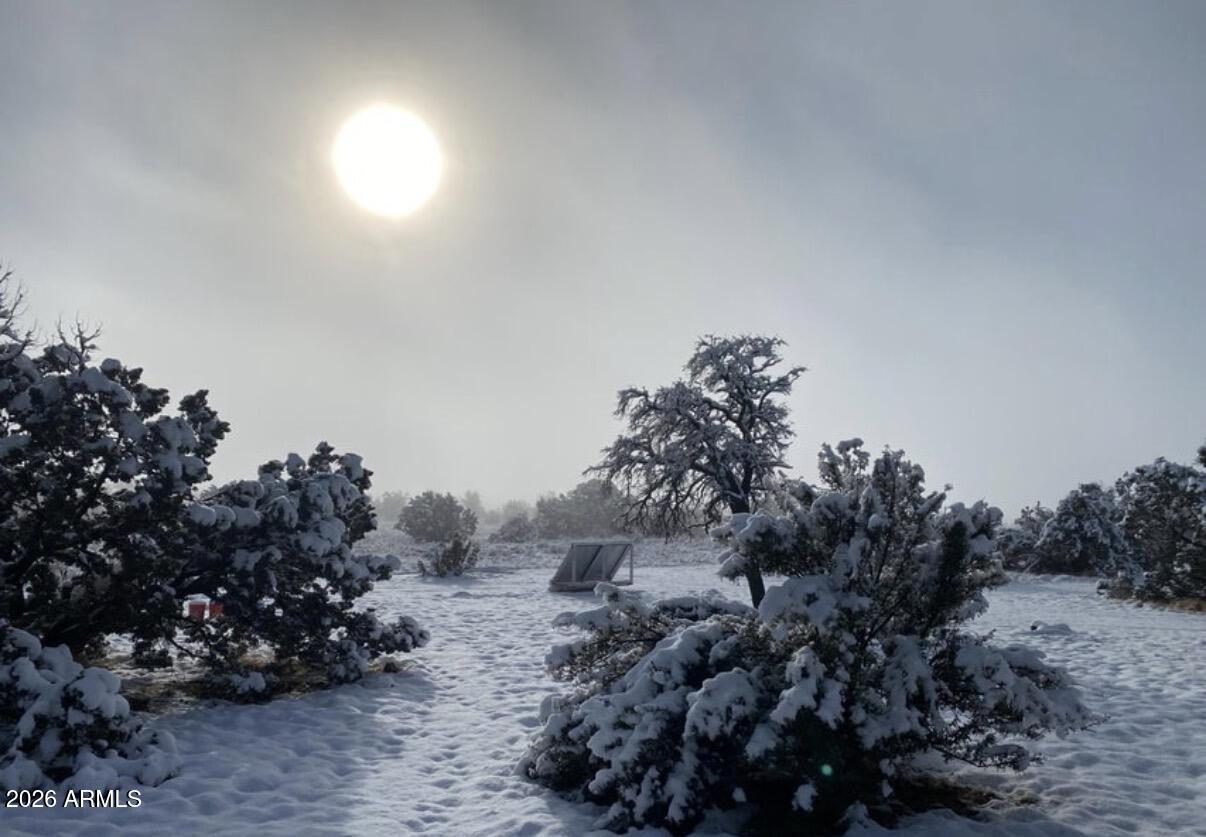 5785 N MUYTALA Drive 96