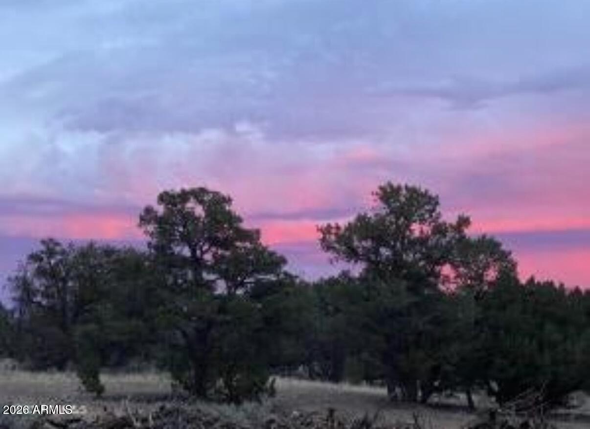 5785 N MUYTALA Drive 96