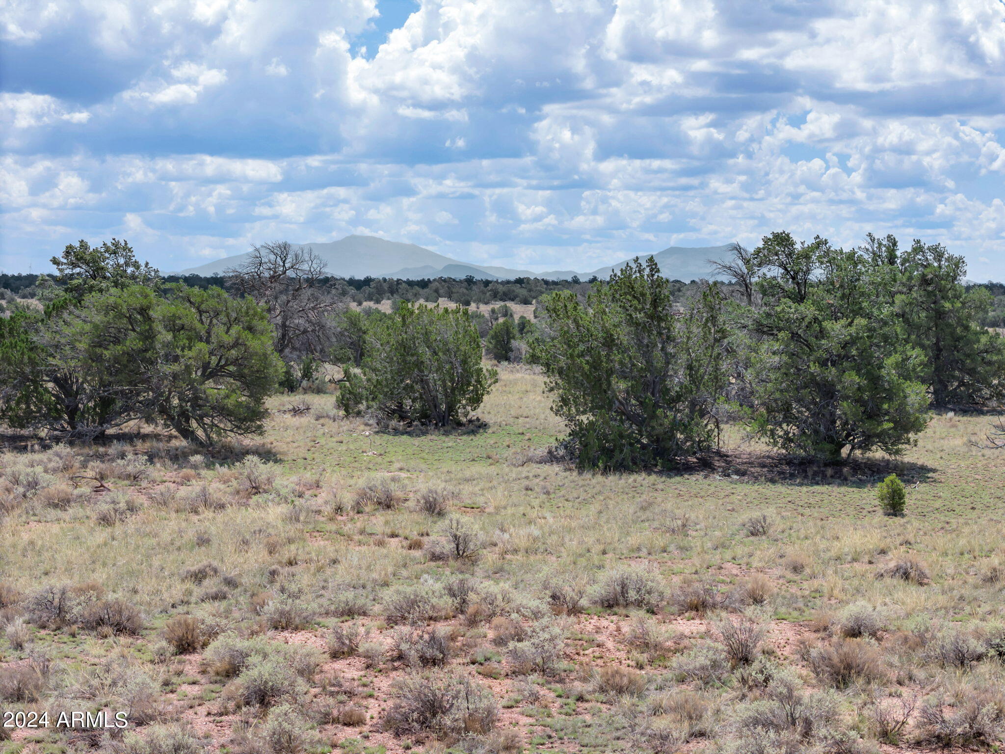 WOODLAND RANCH - Land
