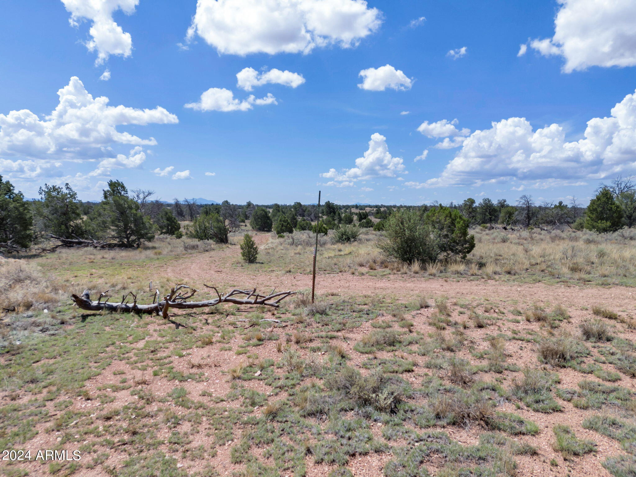 WOODLAND RANCH - Land