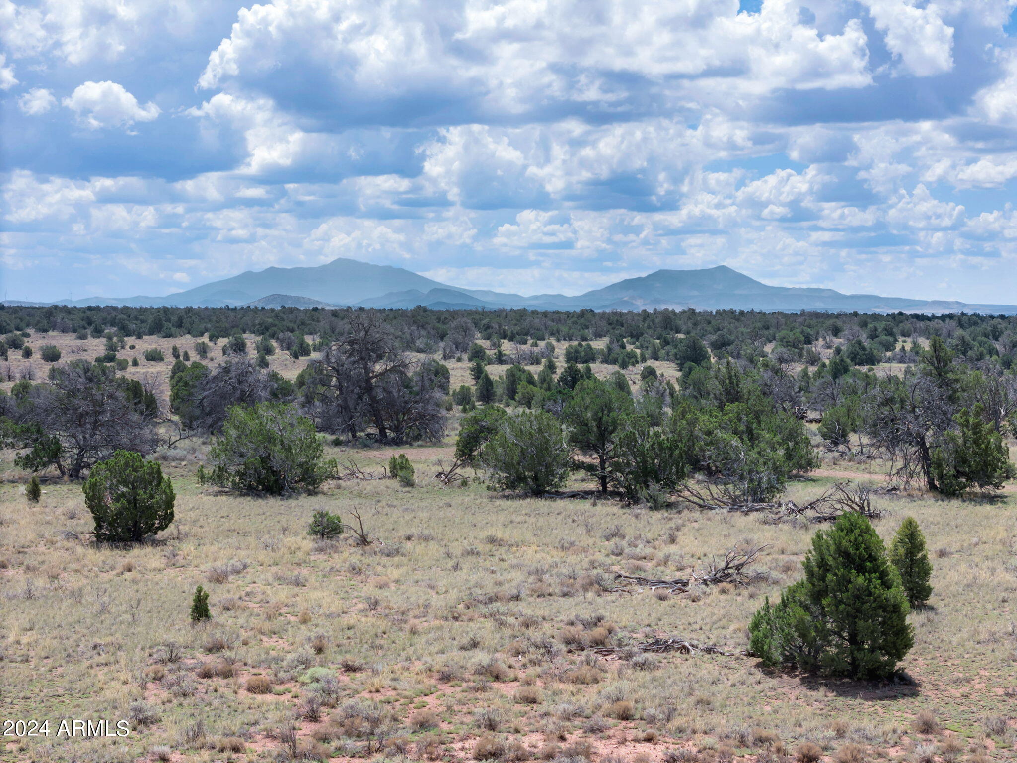 WOODLAND RANCH - Land