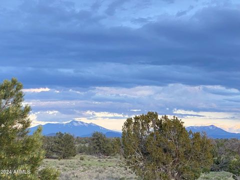 5785 N MUYTALA Drive 96 Williams AZ 86046