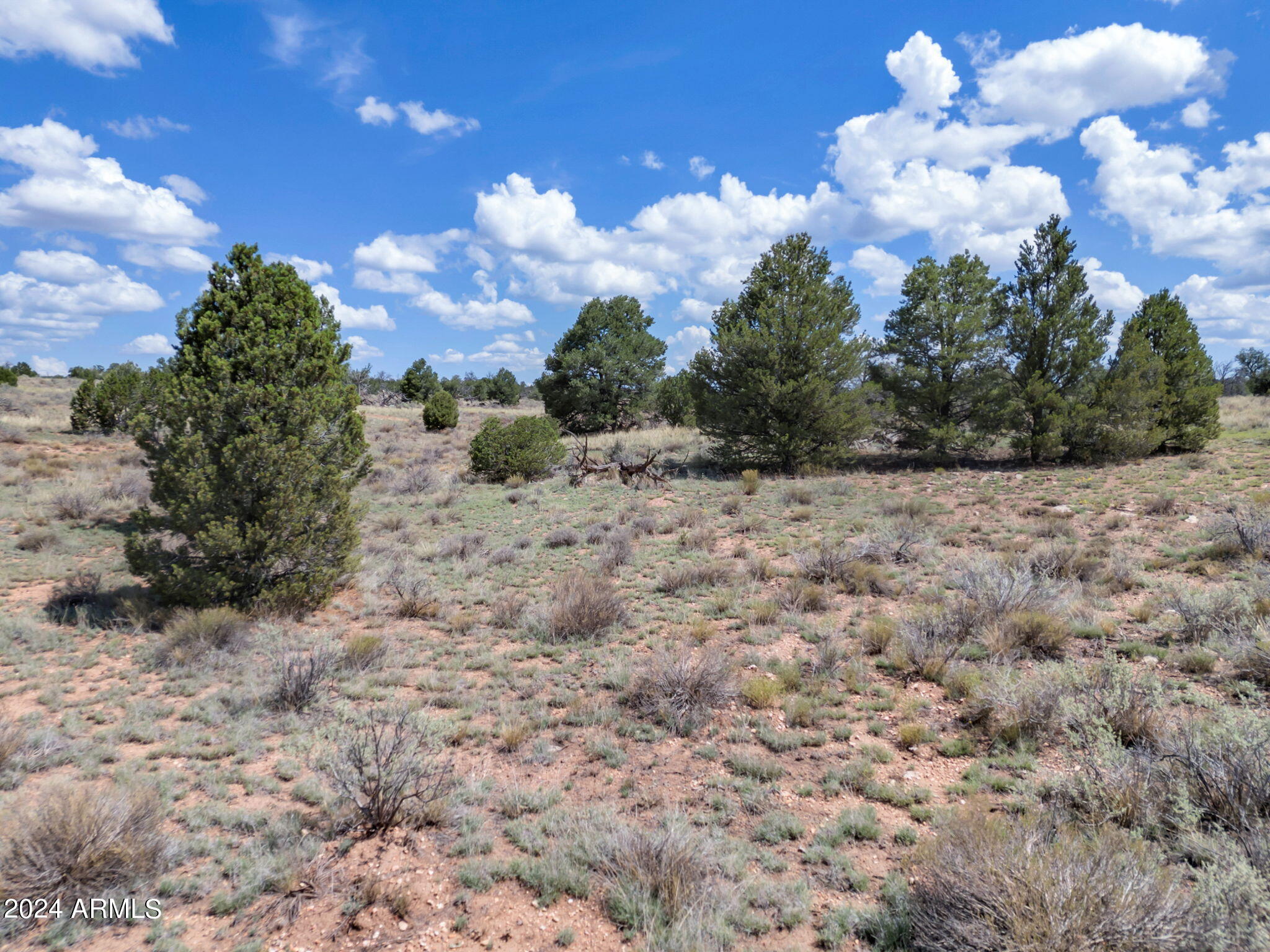 WOODLAND RANCH - Land