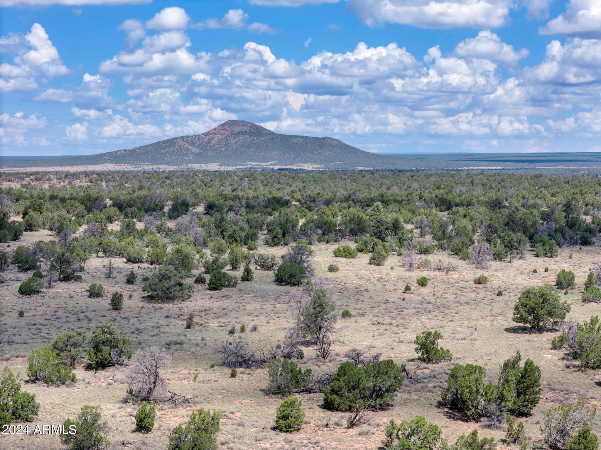 WOODLAND RANCH - Land