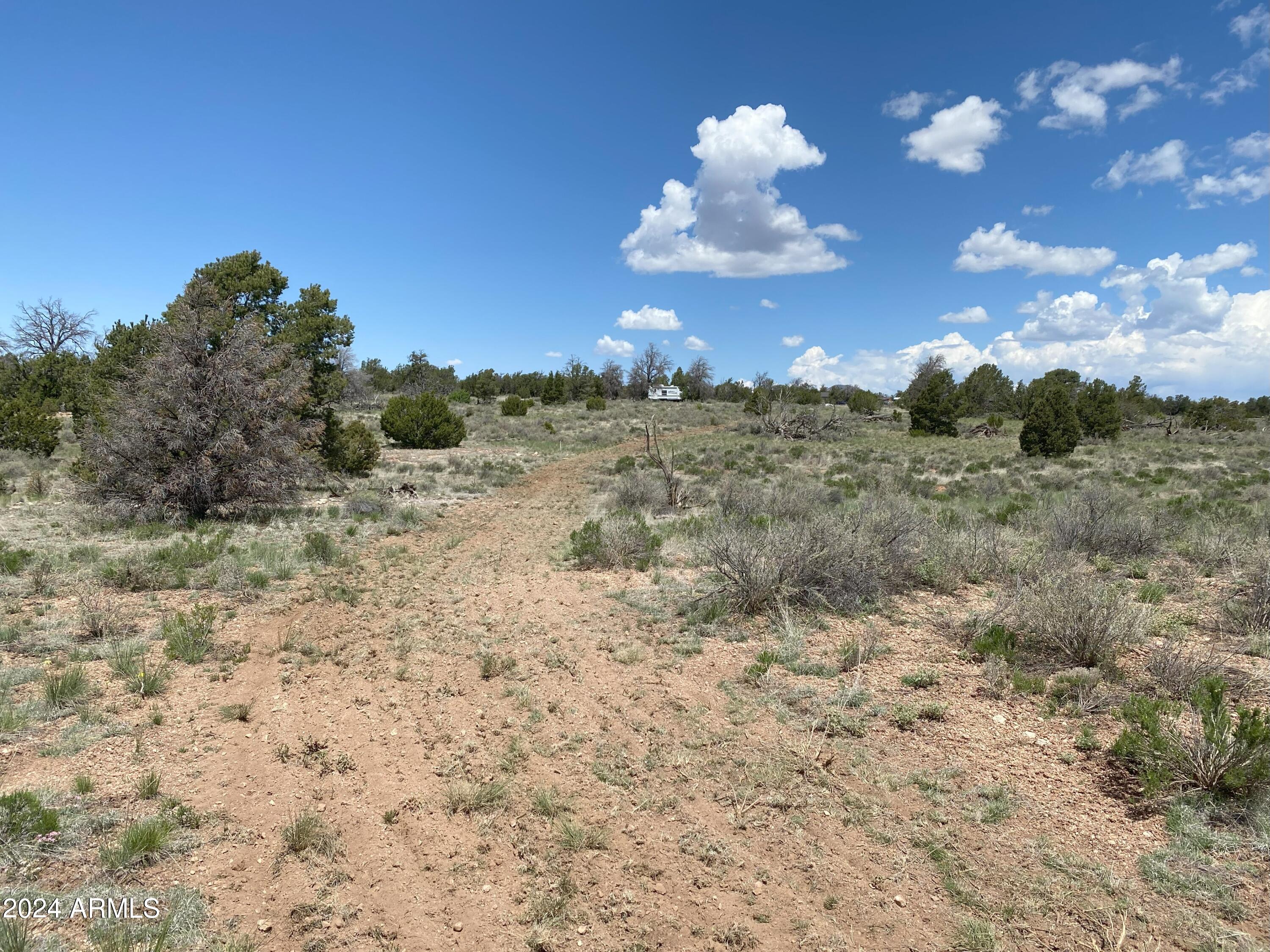 WOODLAND RANCH - Land