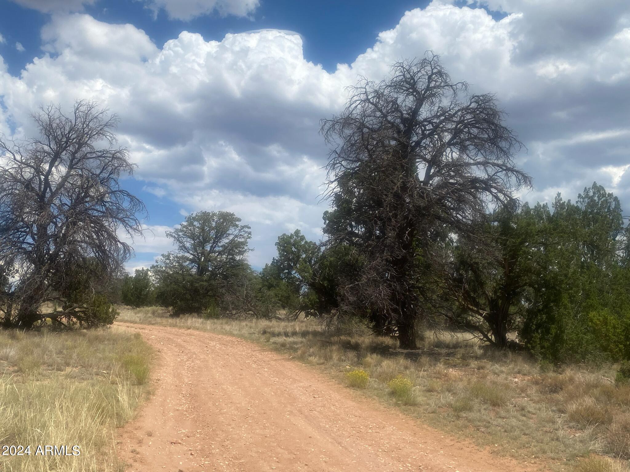 WOODLAND RANCH - Land