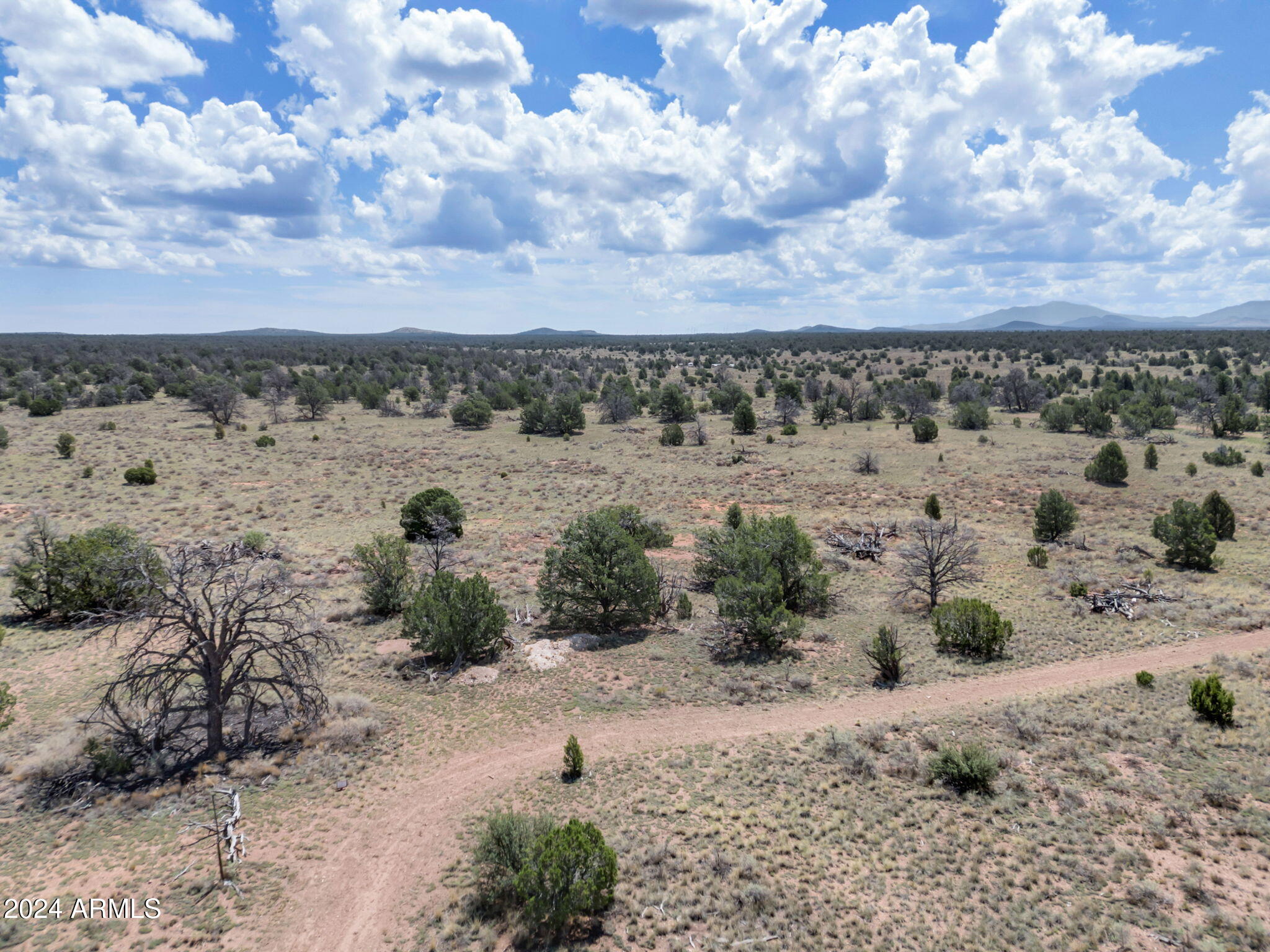 WOODLAND RANCH - Land