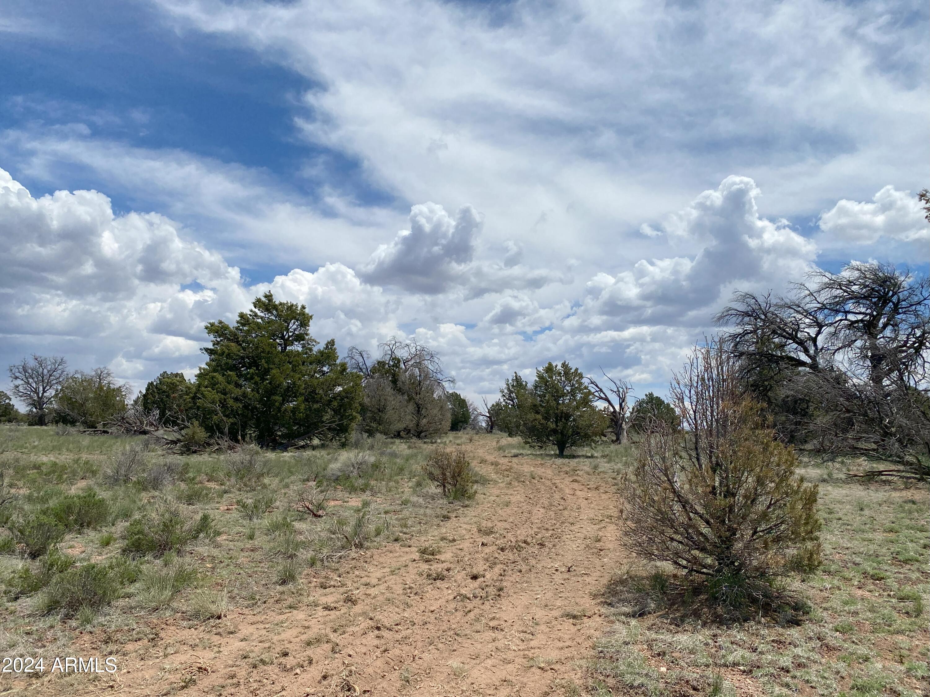 WOODLAND RANCH - Land