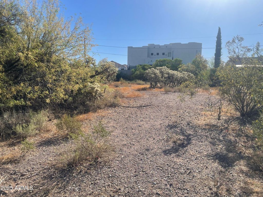 Photo of 6039 S Alameda Road #166, Gold Canyon, AZ 85118 (MLS # 6863623)