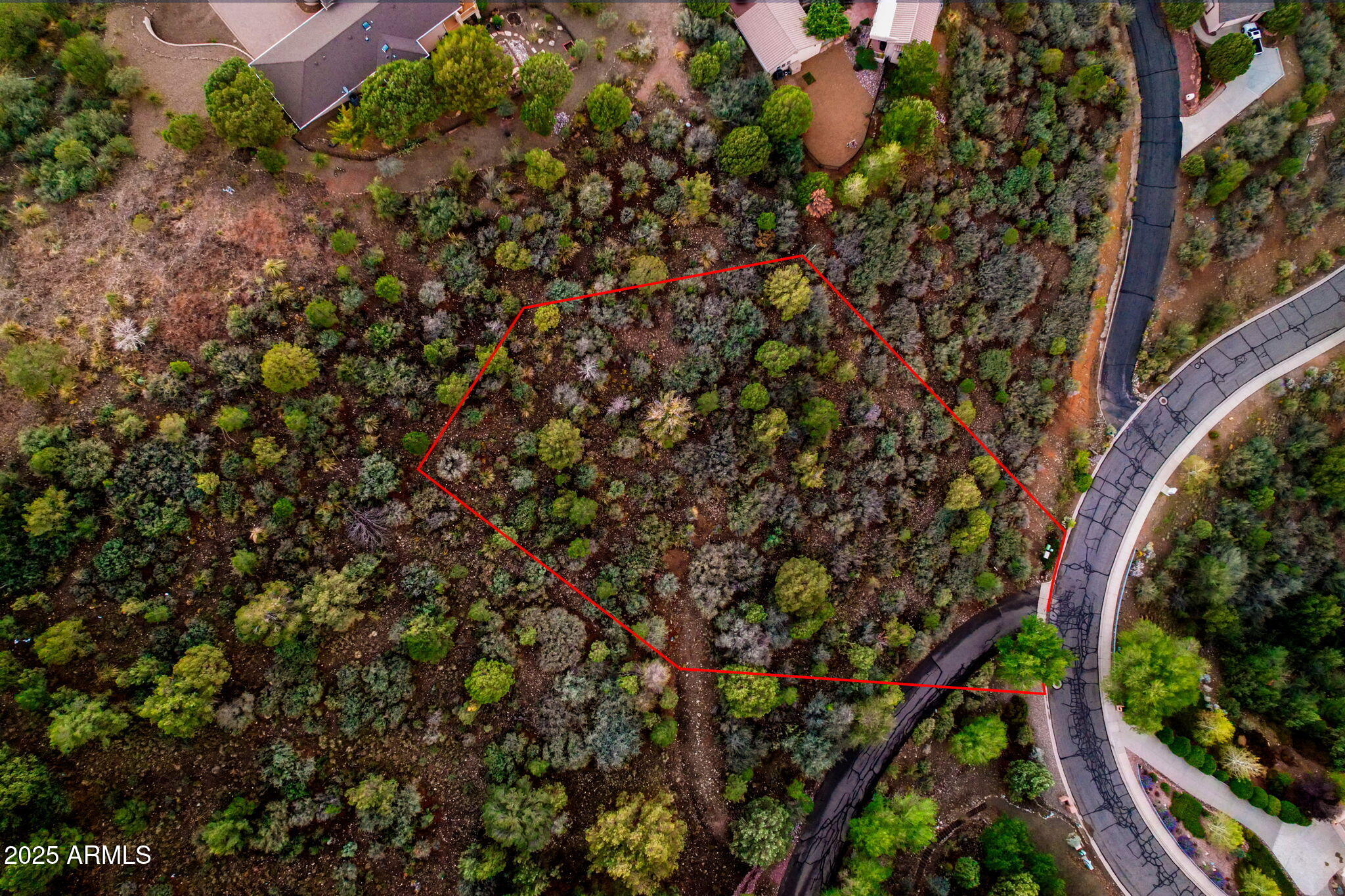 855 City Lights Lights