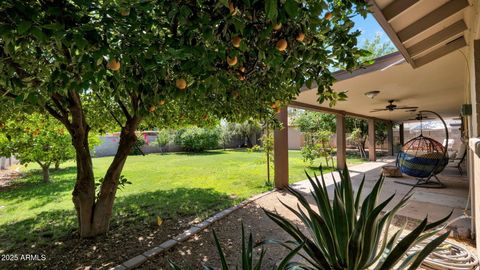 11011 N 39th Street Phoenix AZ 85028