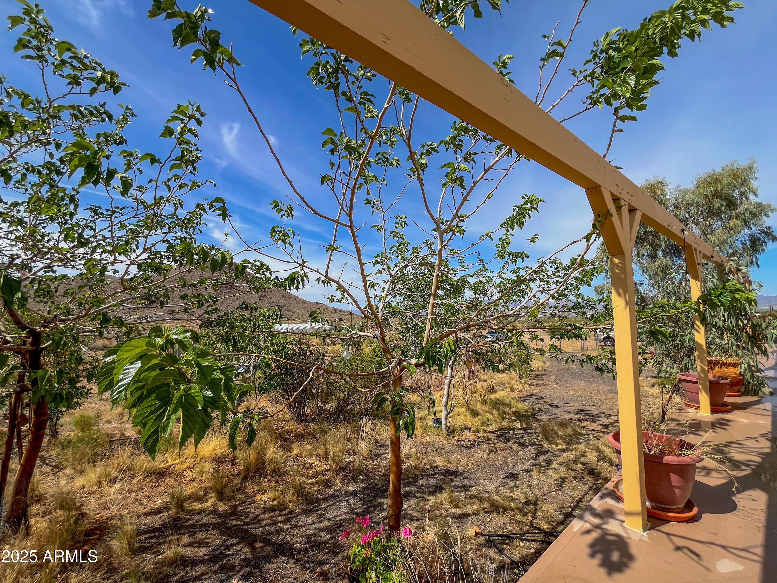 3239 W PALO VERDE Lane