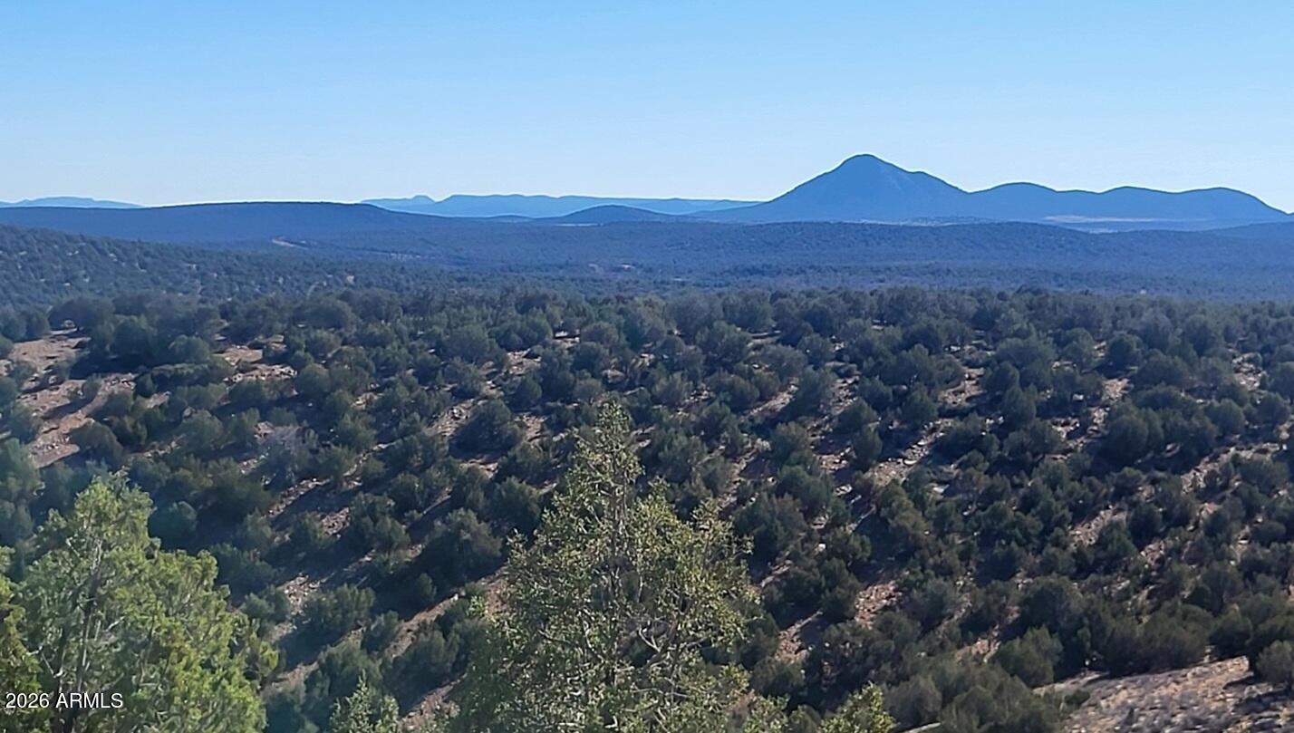 Westwood Ranch - Land