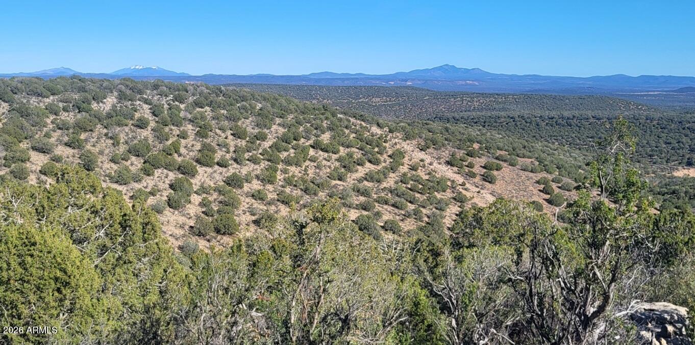 Homes for Sale in Queen Creek Arizona 4 929 Forest Service Rd 721 A -- 929