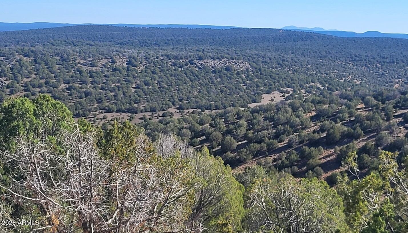 Homes for Sale in Queen Creek Arizona 2 929 Forest Service Rd 721 A -- 929