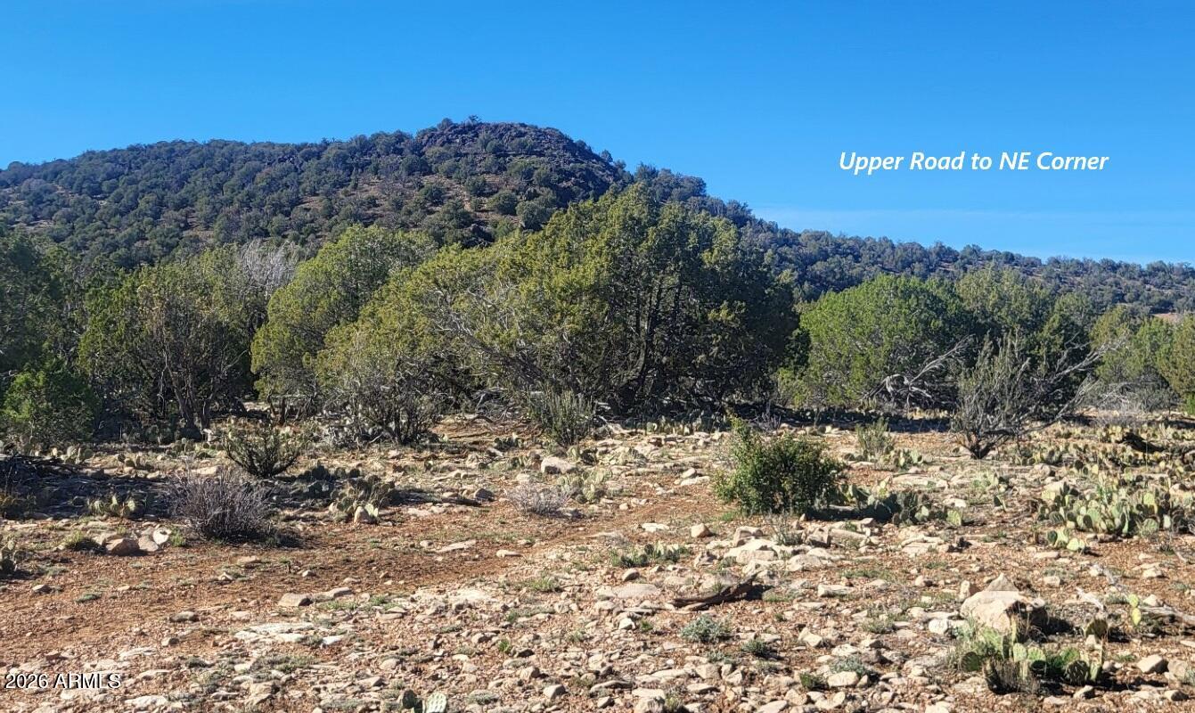 Westwood Ranch - Land