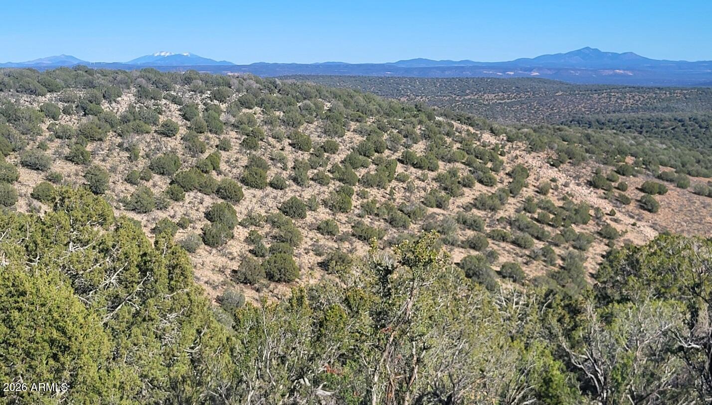 Westwood Ranch - Land