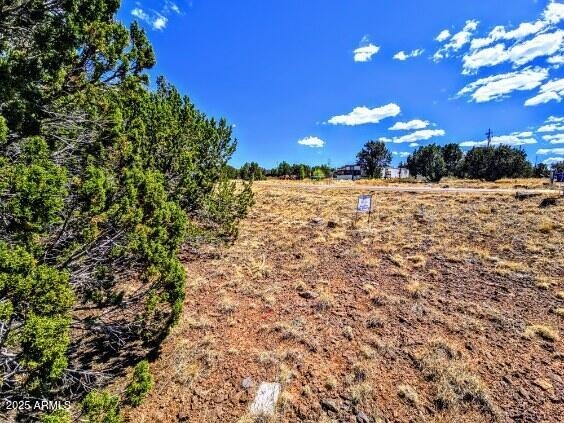 8546 SILVER CREEK Drive 44