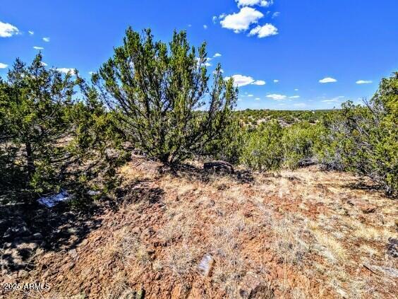 8546 SILVER CREEK Drive 44
