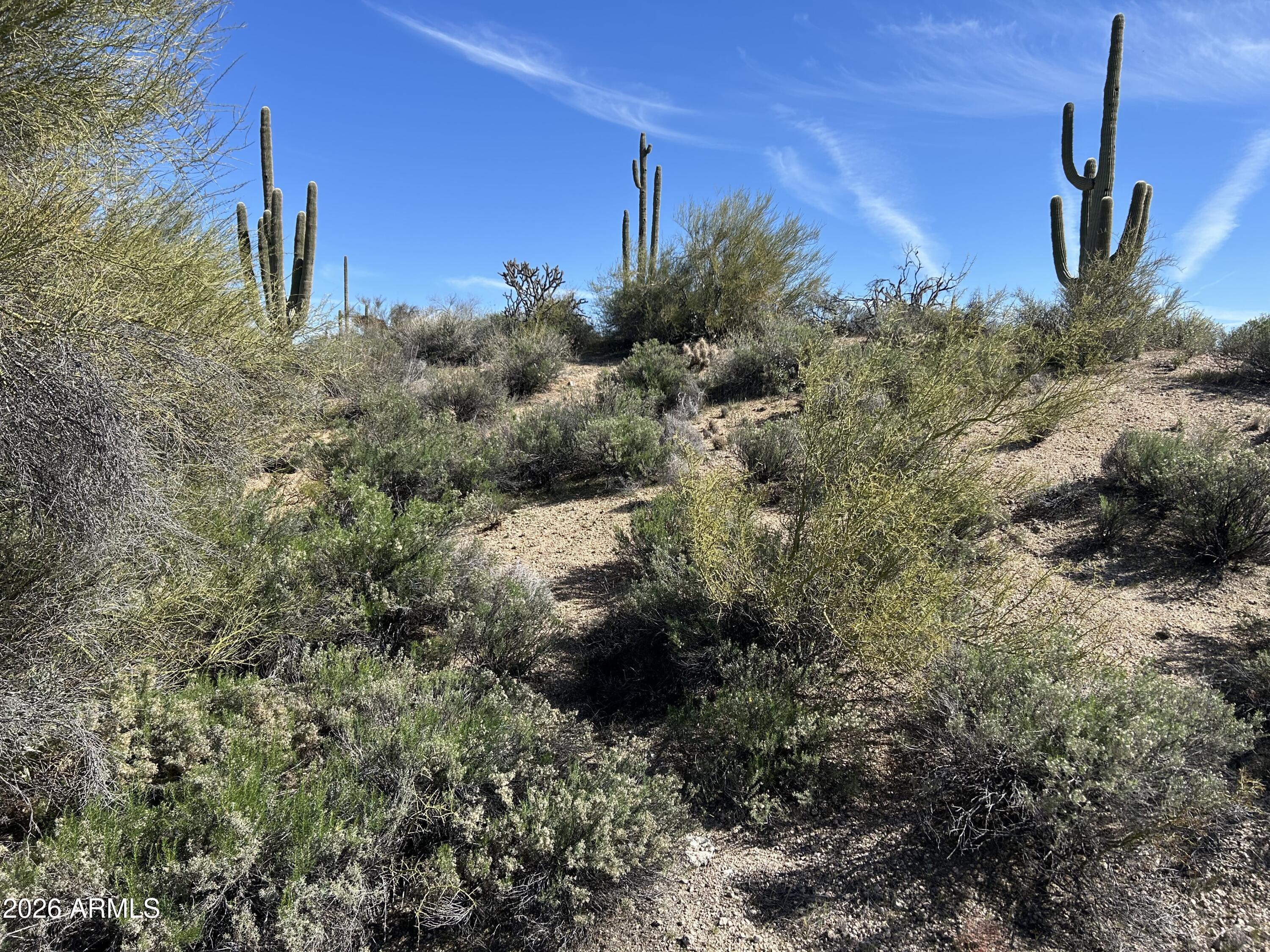 29503 N 111TH Way 19