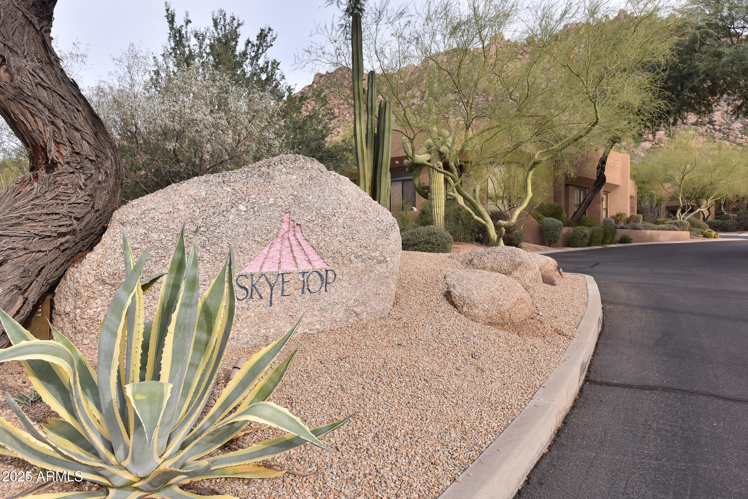 25555 N WINDY WALK Drive 77