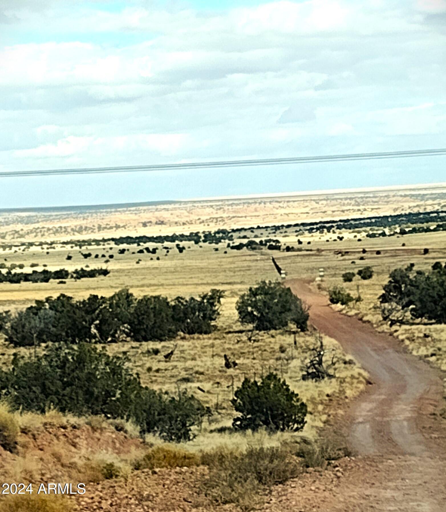 Lot 88 Ranch of the White Mountains -- 088