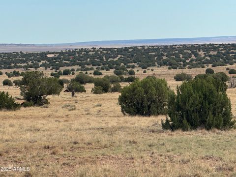 Lot 88 Ranch of the White Mountains -- 088 Concho AZ 85924