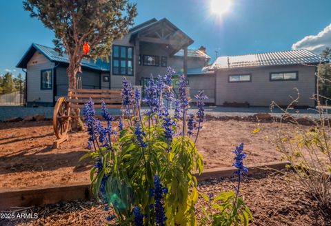 9233 W Outlaw Lane Lakeside AZ 85929