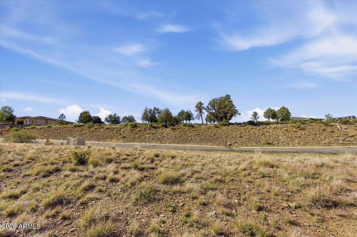 61 MORNING GLOW Way 873