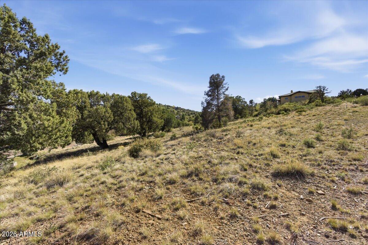 61 MORNING GLOW Way 873