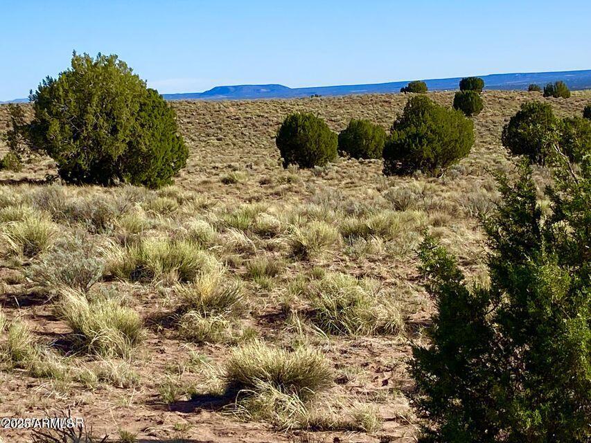 River Meadows Ranch Unit 3 Lot 204 -- -